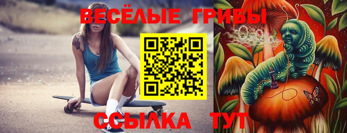 Ревда  Псилоцибиновые грибы мицелий  Вход с VPN 
