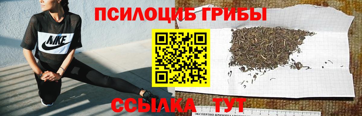 Галлюциногенные грибы Psilocybe Ревда